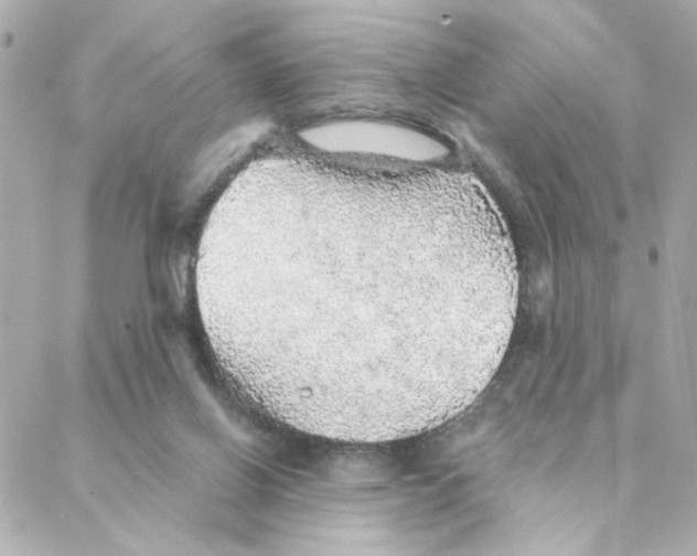 X0000088180070200706051152