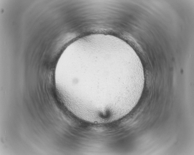 X0000088180071200706051152