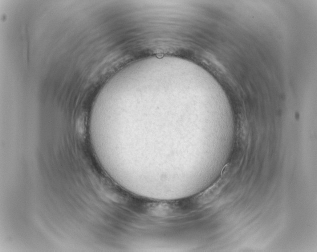 X0000088180074200706051152