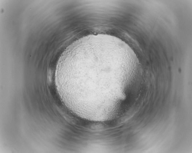 X0000088180075200706051152