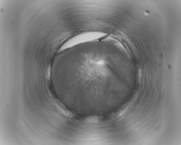 X0000088180076200706051152