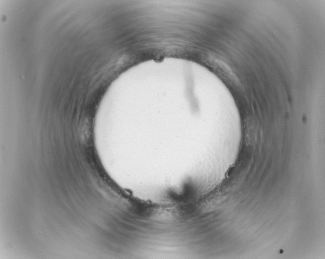 X0000088180077200706051152