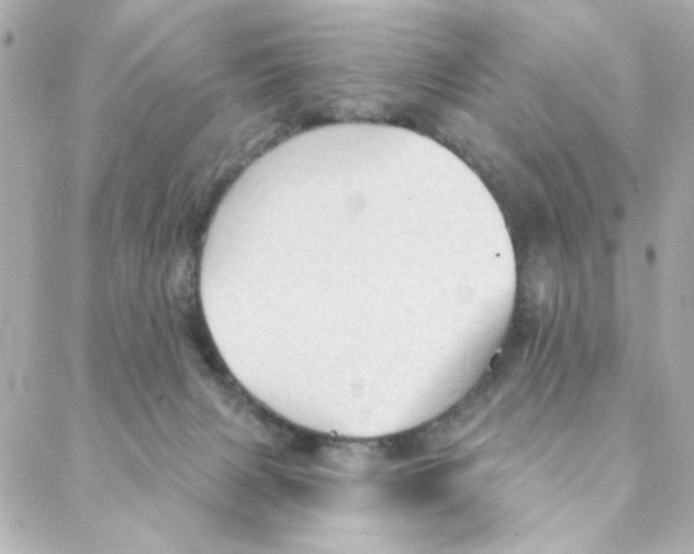 X0000088180079200706051152