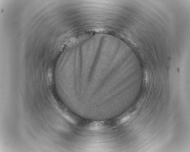 X0000088180080200706051152