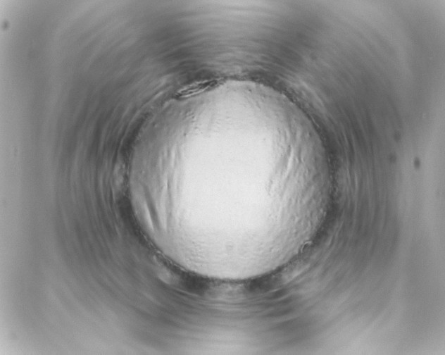 X0000088180081200706051152