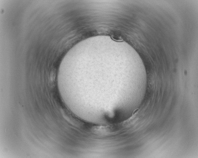 X0000088180082200706051152