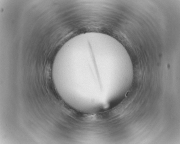 X0000088180083200706051152