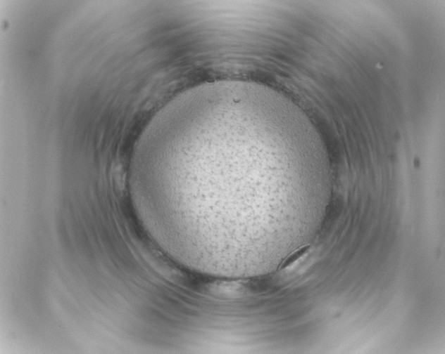 X0000088180086200706051152