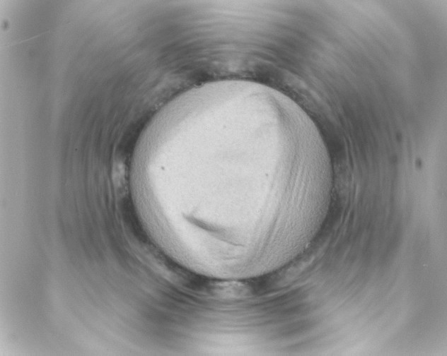 X0000088180087200706051152