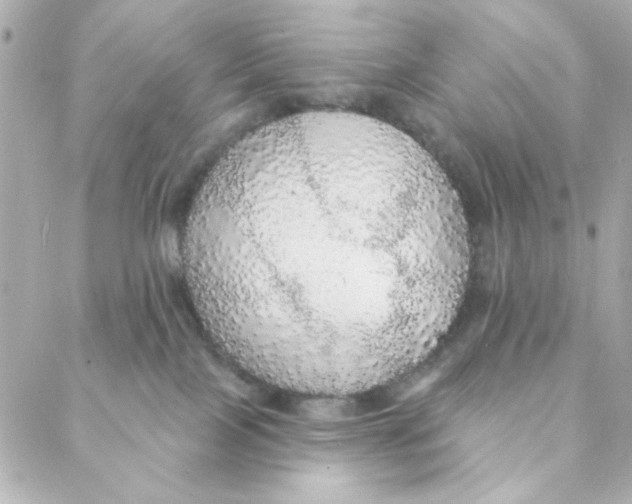 X0000088180089200706051152