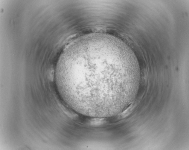 X0000088180090200706051152