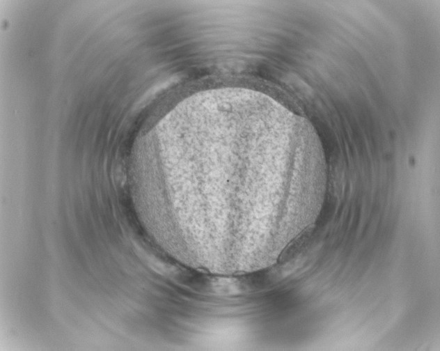 X0000088180091200706051152