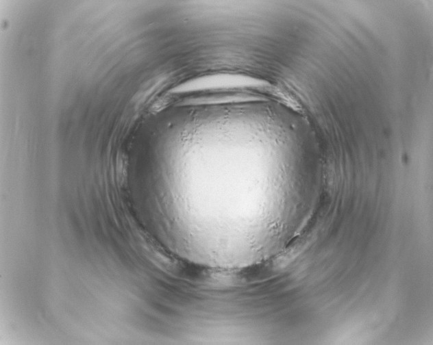 X0000088180093200706051152