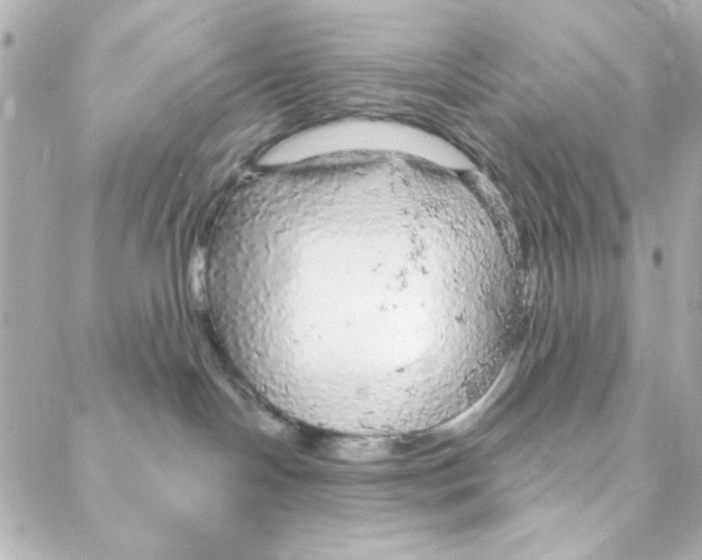 X0000088180094200706051152