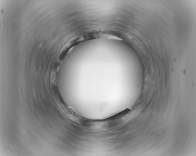 X0000088180096200706051152