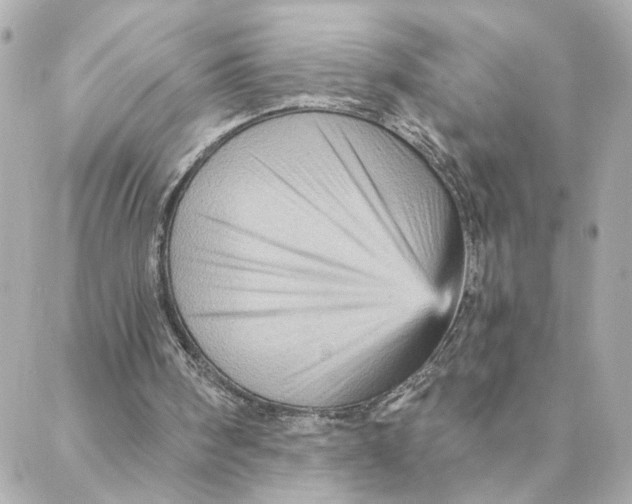 X0000088180098200706051152