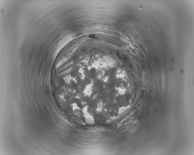 X0000088180099200706051152