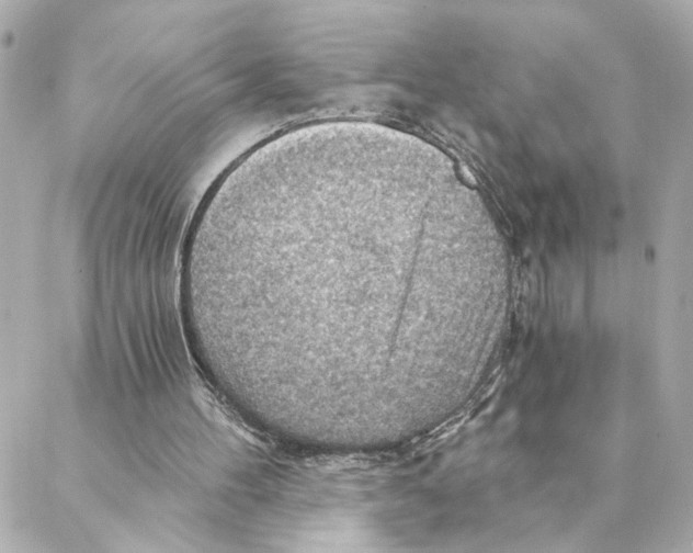 X0000088180100200706051152