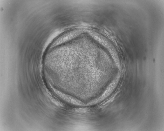 X0000088180102200706051152