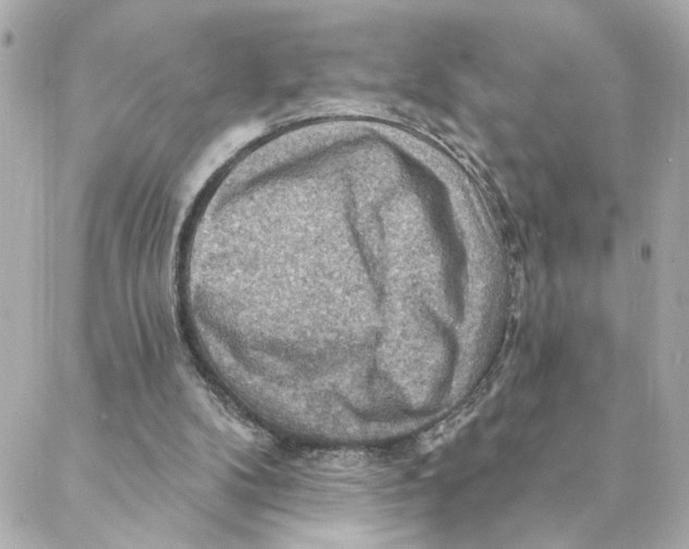 X0000088180104200706051152