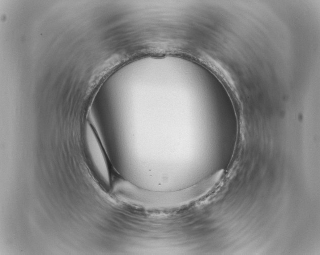 X0000088180105200706051151