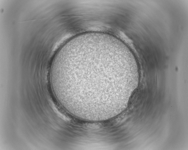 X0000088180106200706051151