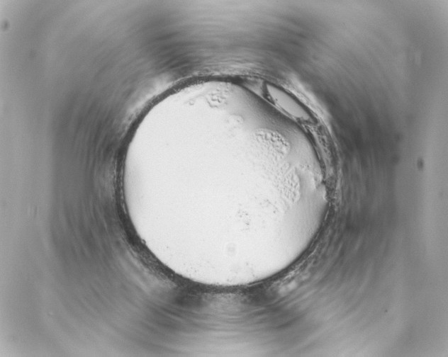 X0000088180107200706051151