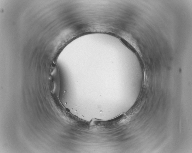 X0000088180109200706051151