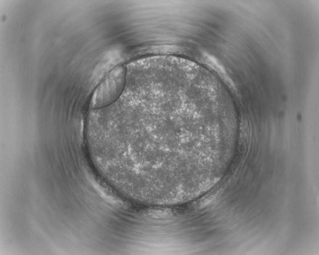 X0000088180110200706051151