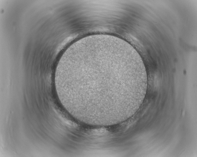 X0000088180112200706051151