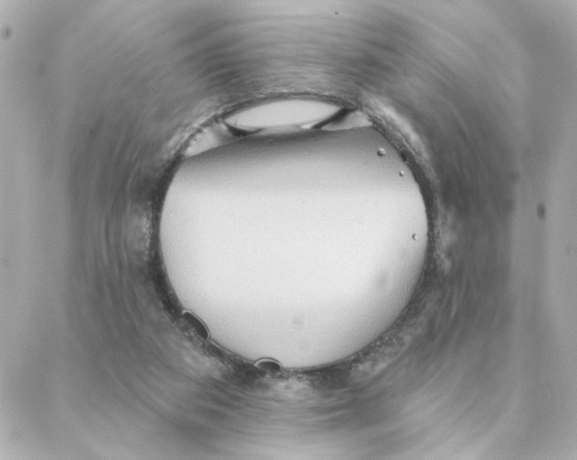 X0000088180113200706051151