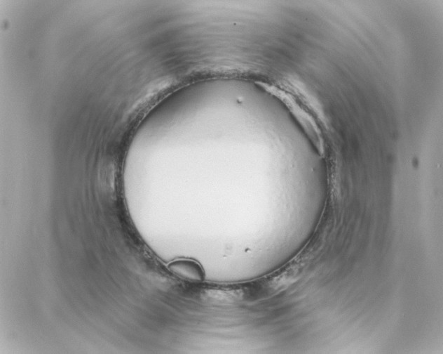 X0000088180115200706051151