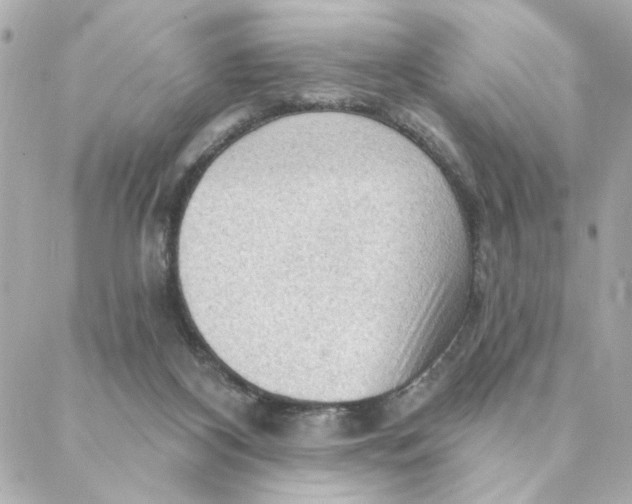 X0000088180116200706051151