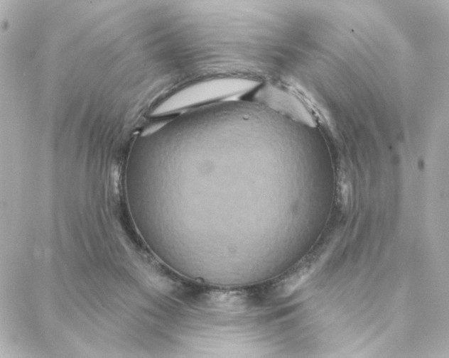 X0000088180117200706051151