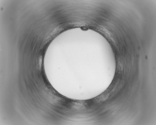 X0000088180118200706051151