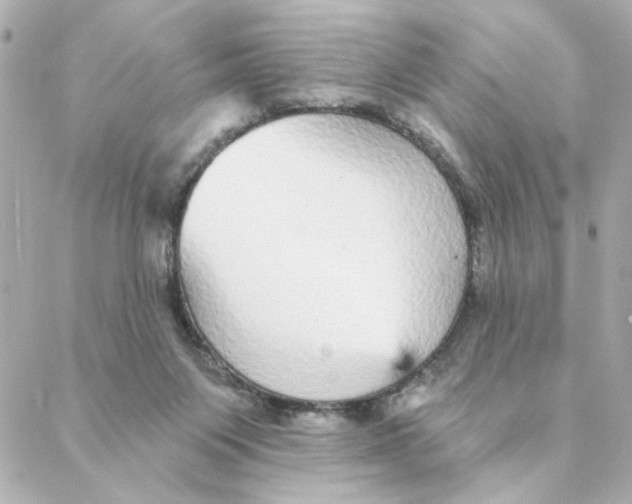 X0000088180119200706051151