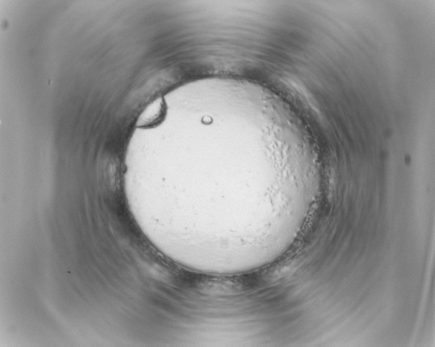 X0000088180123200706051151