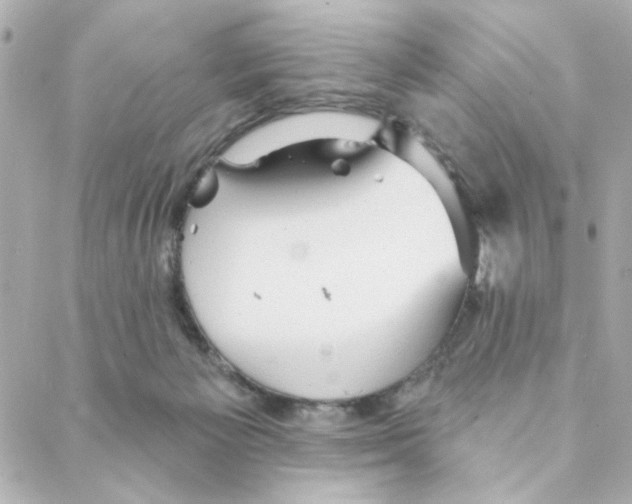 X0000088180125200706051151