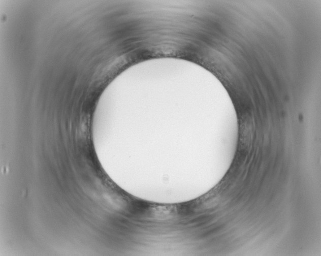 X0000088180126200706051151