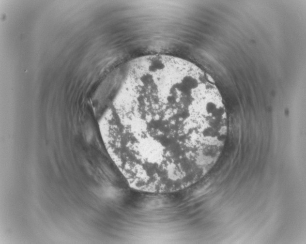 X0000088180127200706051151