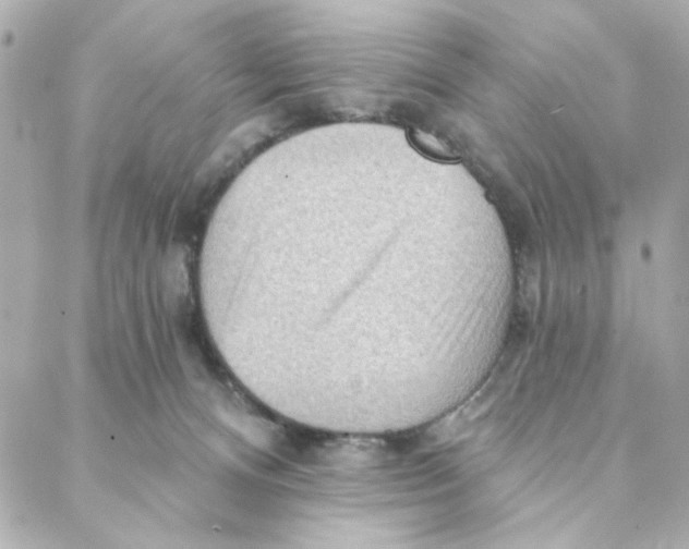 X0000088180128200706051151