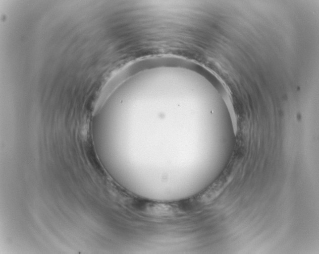 X0000088180129200706051151