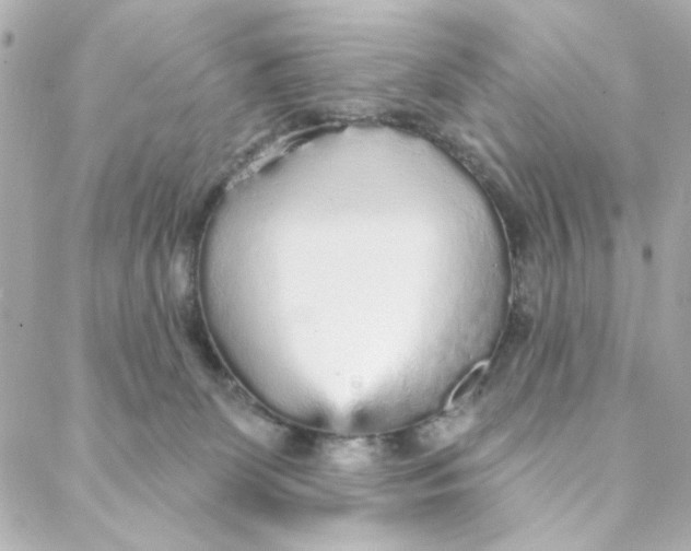 X0000088180131200706051151