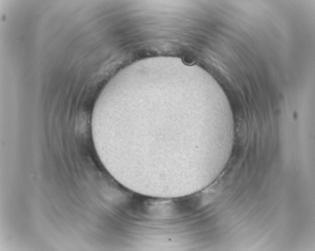 X0000088180132200706051151