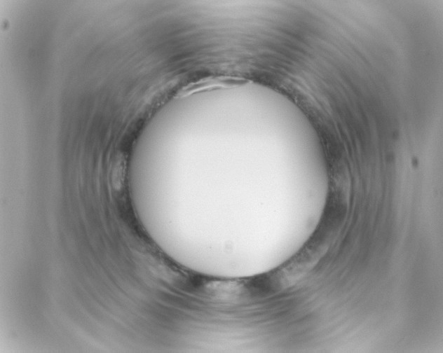 X0000088180133200706051151