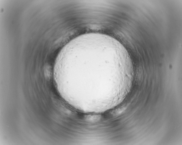 X0000088180135200706051151