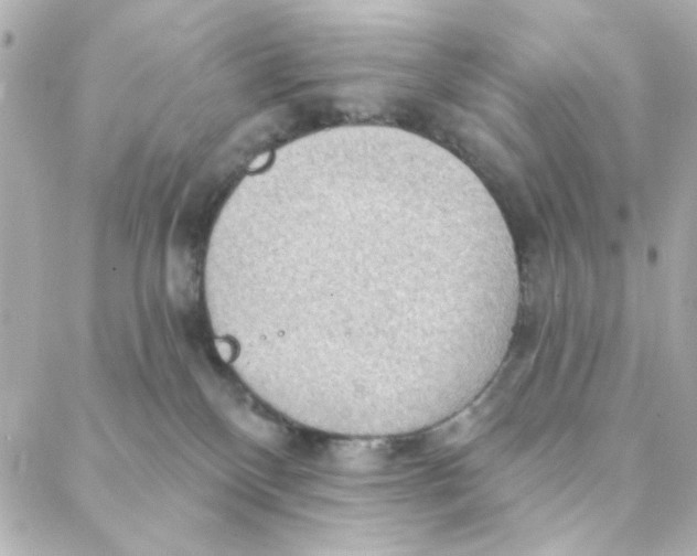 X0000088180136200706051151