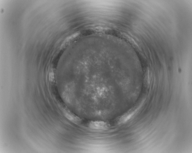 X0000088180137200706051151