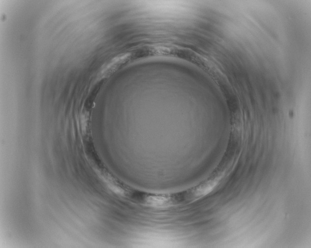 X0000088180139200706051151