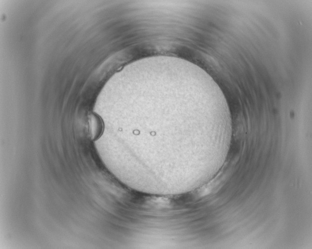 X0000088180140200706051151